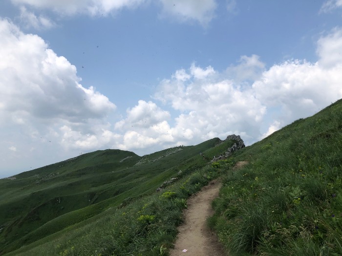 前往Puy de Sancy為緩上坡的石頭路